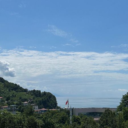 Temo'S Guesthouse Sarpi Εξωτερικό φωτογραφία